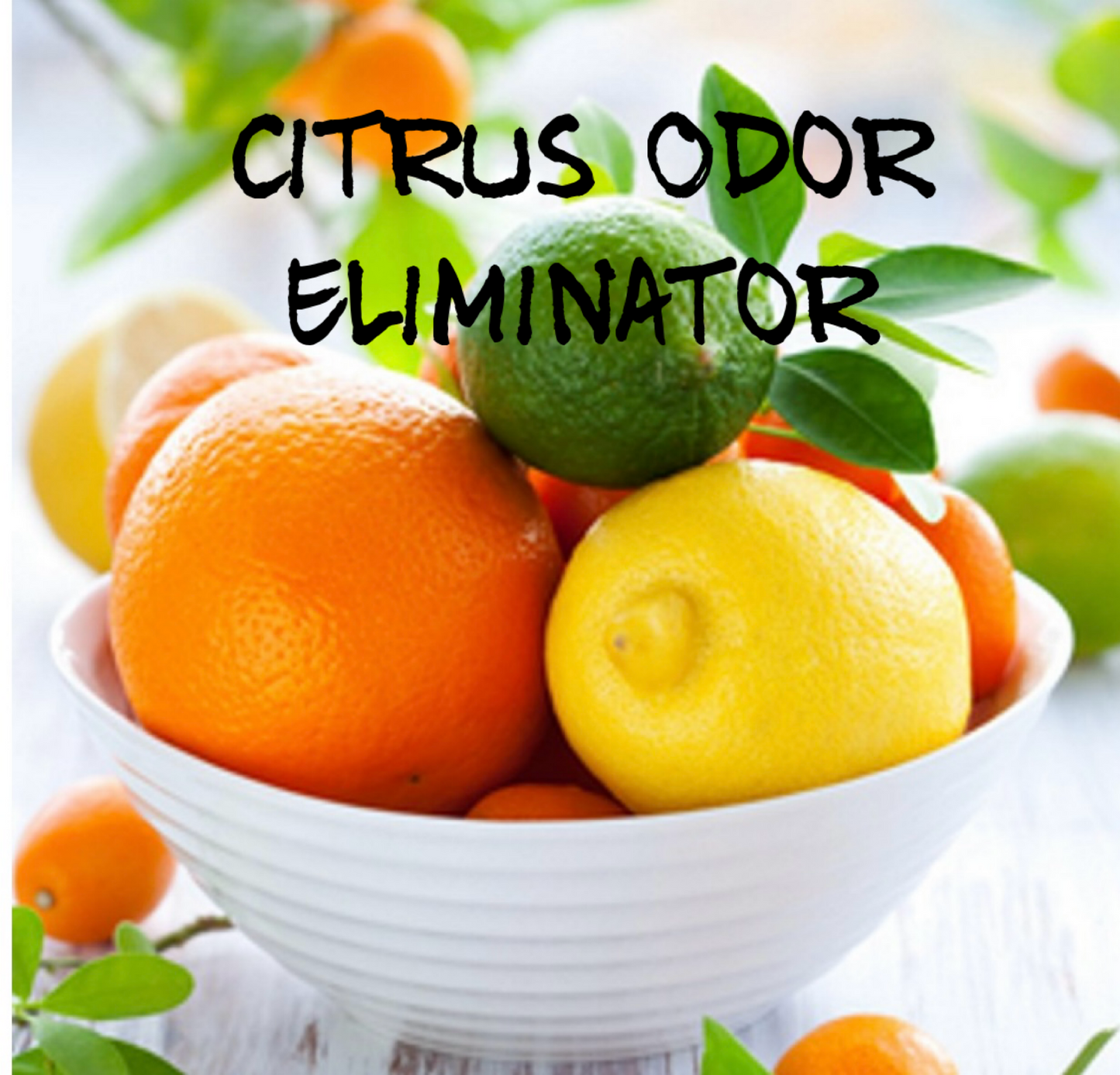 Citrus Odor Eliminator.
A refreshing blend of lemon, orange and bright grapefruit combines with an odor eliminating agent to create a clean fragrance that is sparkling.
