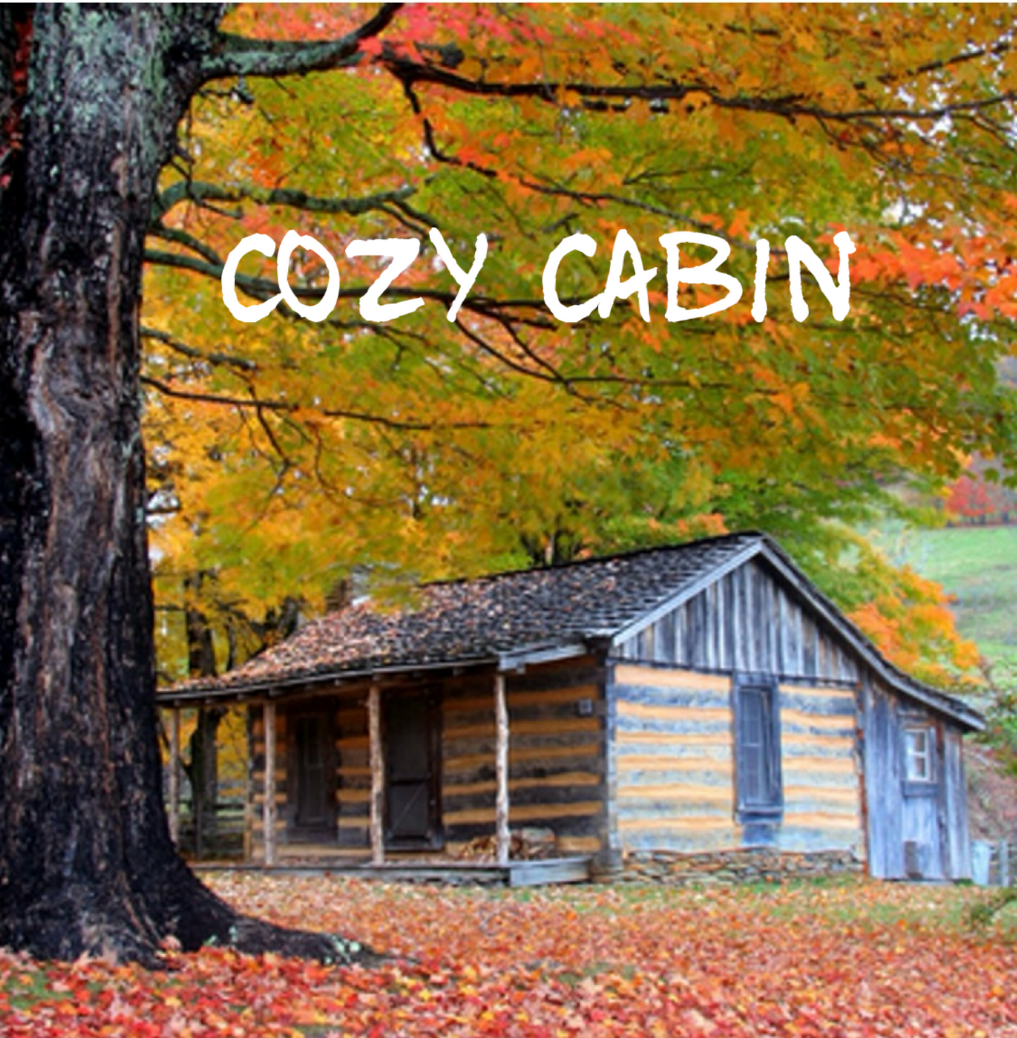 Cozy Cabin Fragrance.
Crisp forest greens & warm spices create a cozy layer of pure comfort and peace.