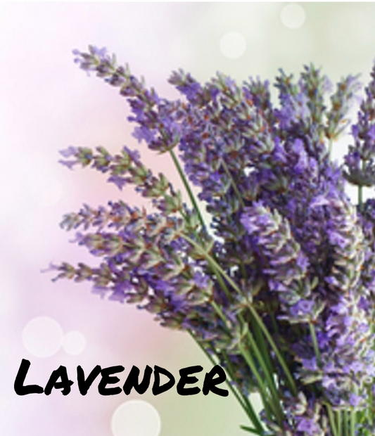 Lavender. 
This lavender fragrance oil is a soothing and calming blend. It features a prominent lavender fragrance and has notes of sage throughout as well.
