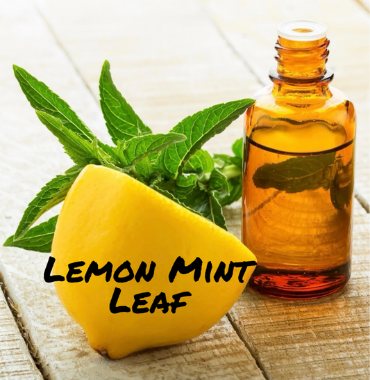 Lemon Mint Leaf.
Sparkling lemon peel and juicy orange are blended with fresh mint for an uplifting and bright scent. Inspired by the BBW® scent.*