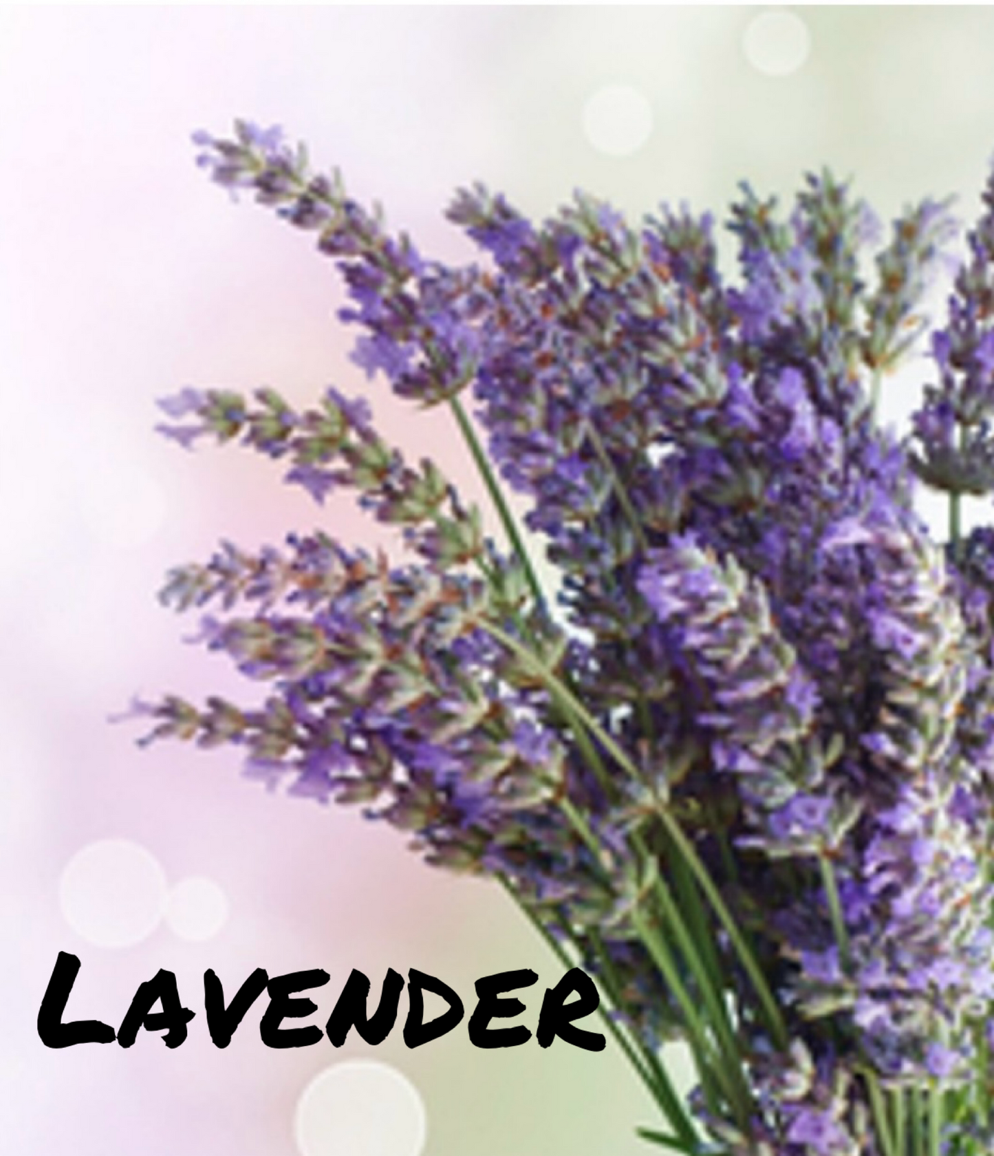 Lavender. 
This lavender fragrance oil is a soothing and calming blend. It features a prominent lavender fragrance and has notes of sage throughout as well.