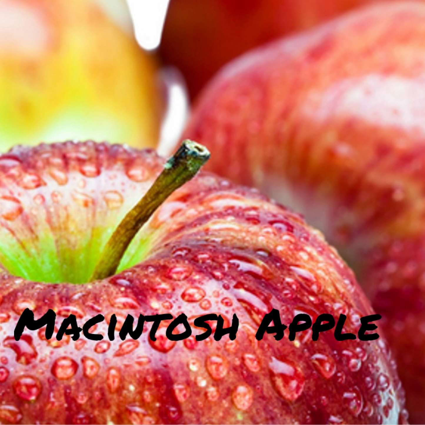Macintosh Apple.
A juicy, crisp fragrance of freshly cut Macintosh apples straight from the orchard. 