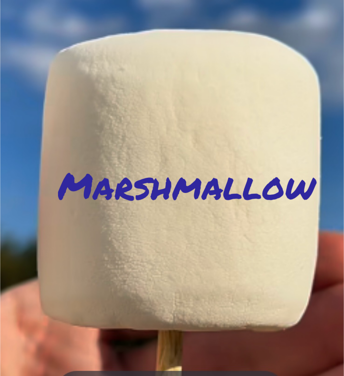 Marshmallow.
A fresh marshmallow straight out of the bag!